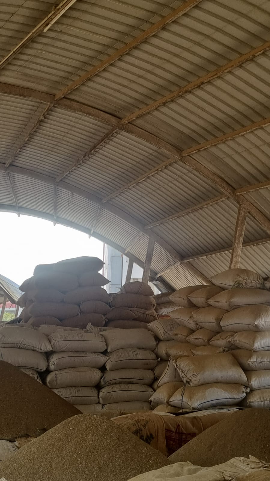 purchase premium quality cumin seeds