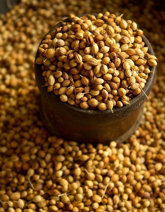 Coriander Seeds