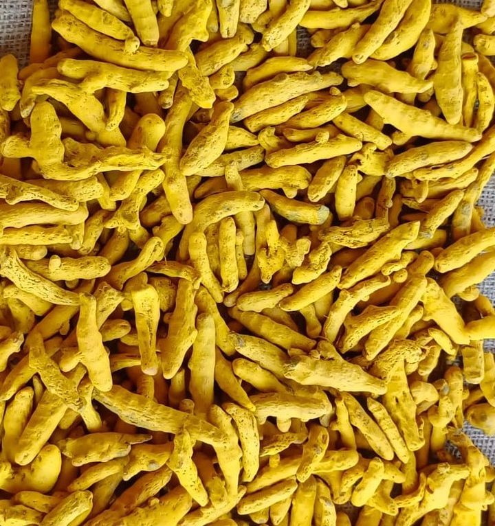 Turmeric