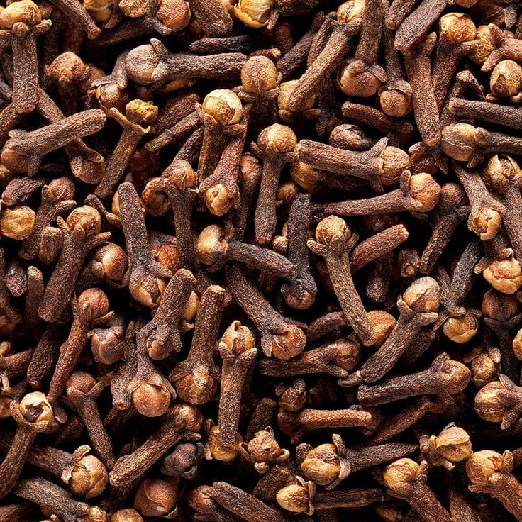 clove seeds